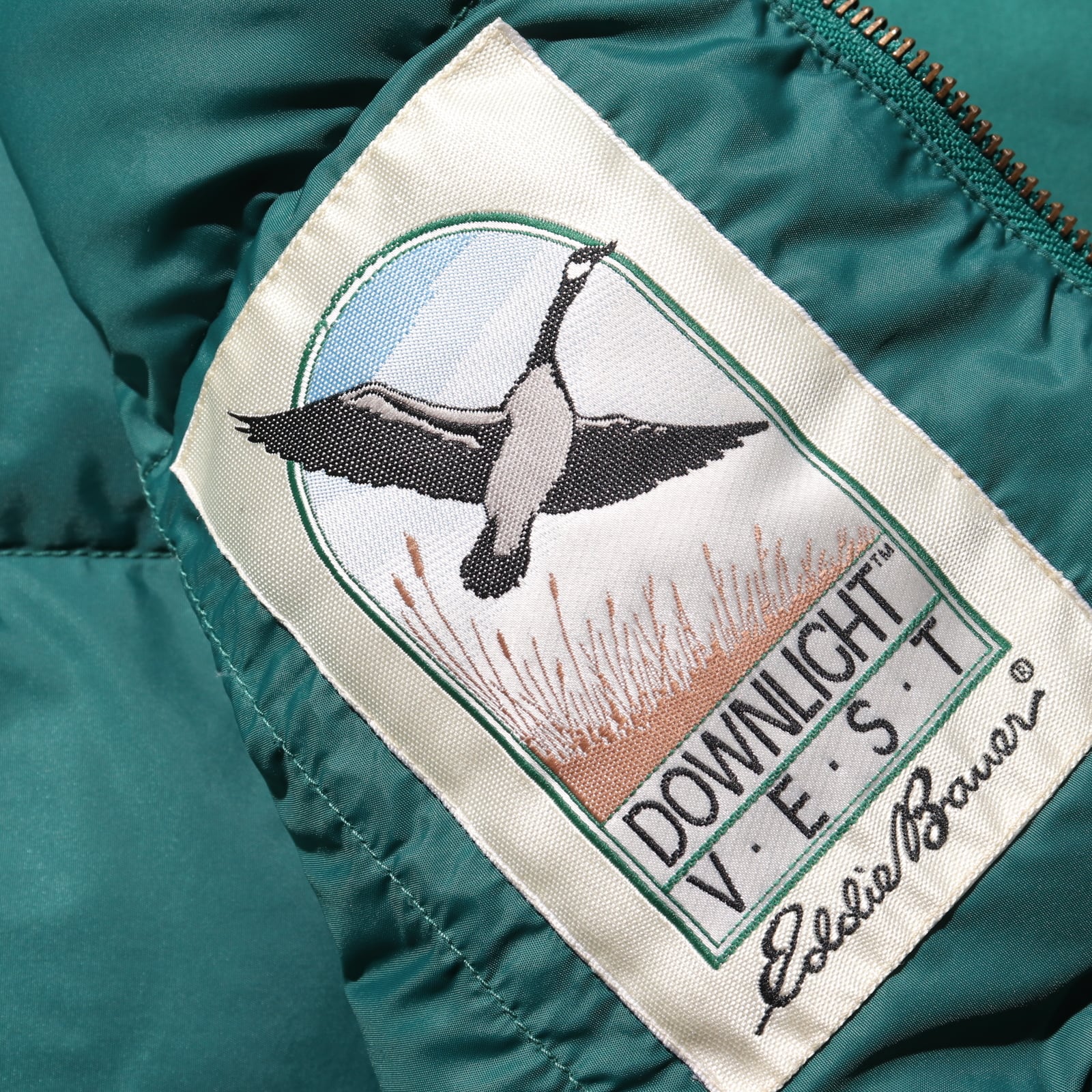 Mint L Eddie Bauer ティールグリーン Downlight Canadian Vest グース