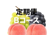 【定期便】Bコース/桃2回・ぶどう2回【約2kgを全4回配送】
