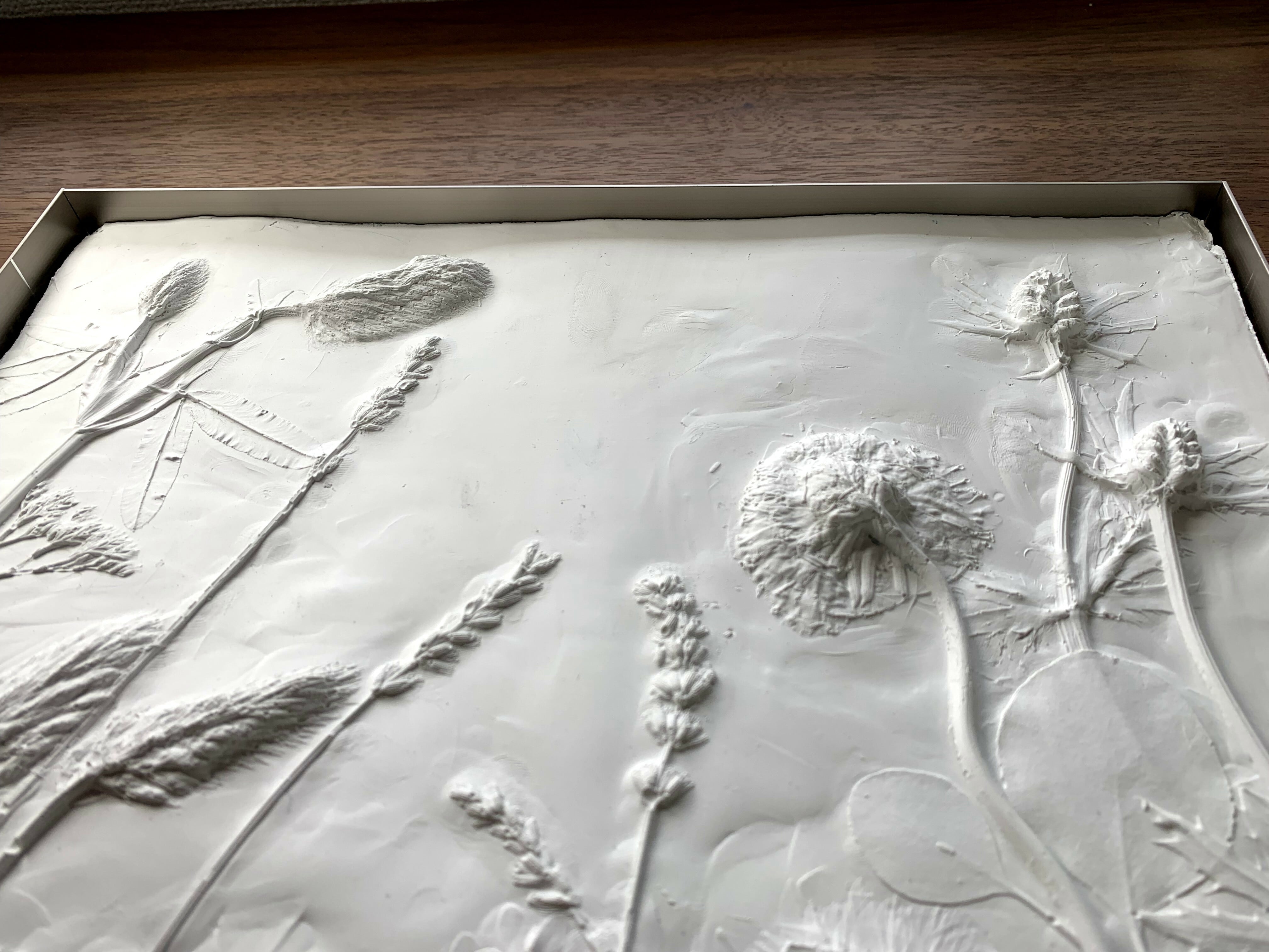 metal frame (金属製フレーム) | ashioto