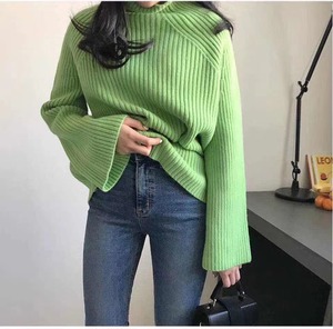 タートルネックリブニット