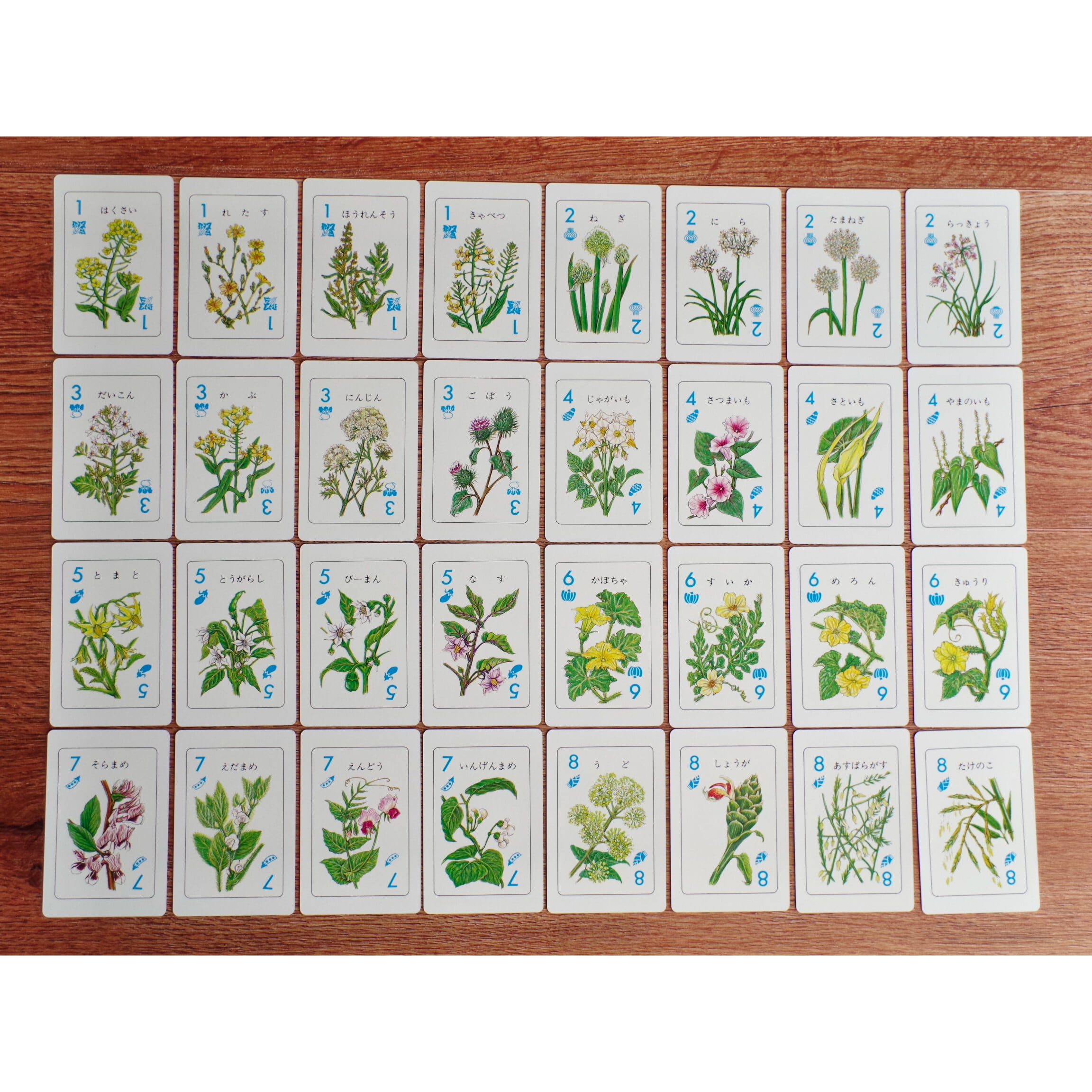 野菜カード | 木のおもちゃ専門店 おもちゃ箱 イカロス 公式オンライン
