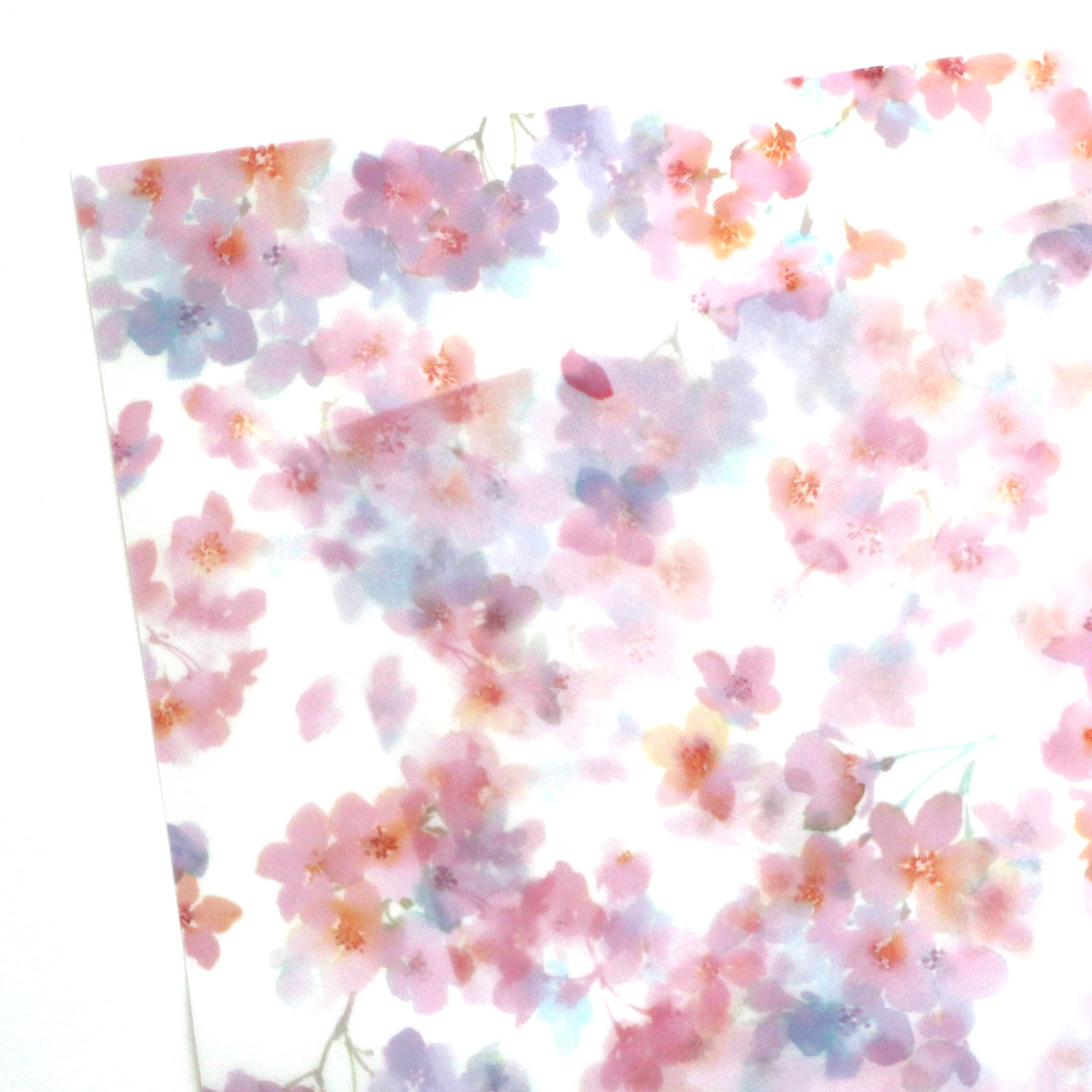桜のトレーシングペーパー