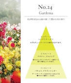 Nichic PAFURM SOLIDE　【No.24】Gardenia