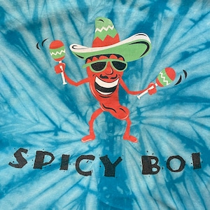 【GILDAN】タイダイ染 Tシャツ サイケ ヒッピー イラスト SPICY BOI XL ビッグサイズ US古着 アメリカ古着