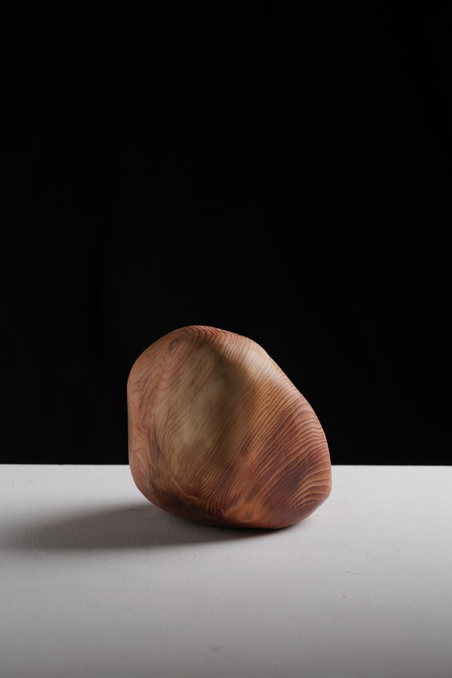 木の石  “wood stone” M ①