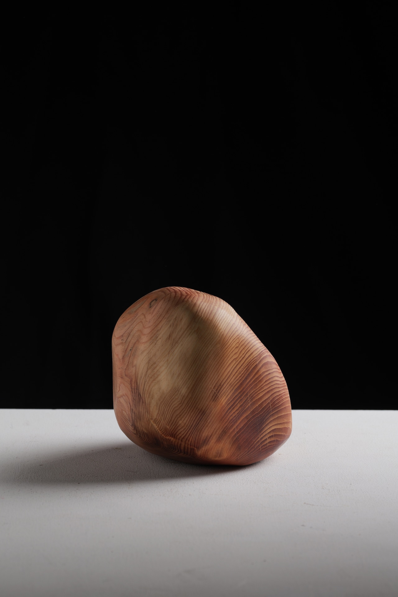 木の石 “wood stone” M ①
