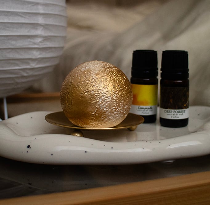 BIGモンステラ　アロマストーン  1つのお値段です BIGモンステラ アロマストーン 1つのお値段です