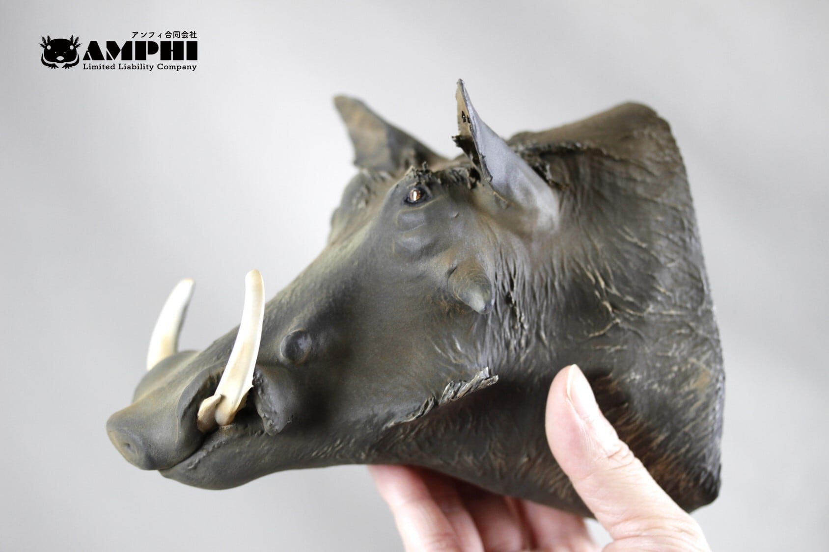 アンフィ合同会社