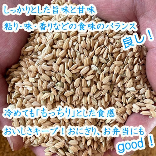 令和7年新米　もみ付き30kg　13,000円　風さやか　天日干し　はぜかけ 風さやか【 籾米 もみごめ 】 長野県産 5kg ＜2025年／令和7年産