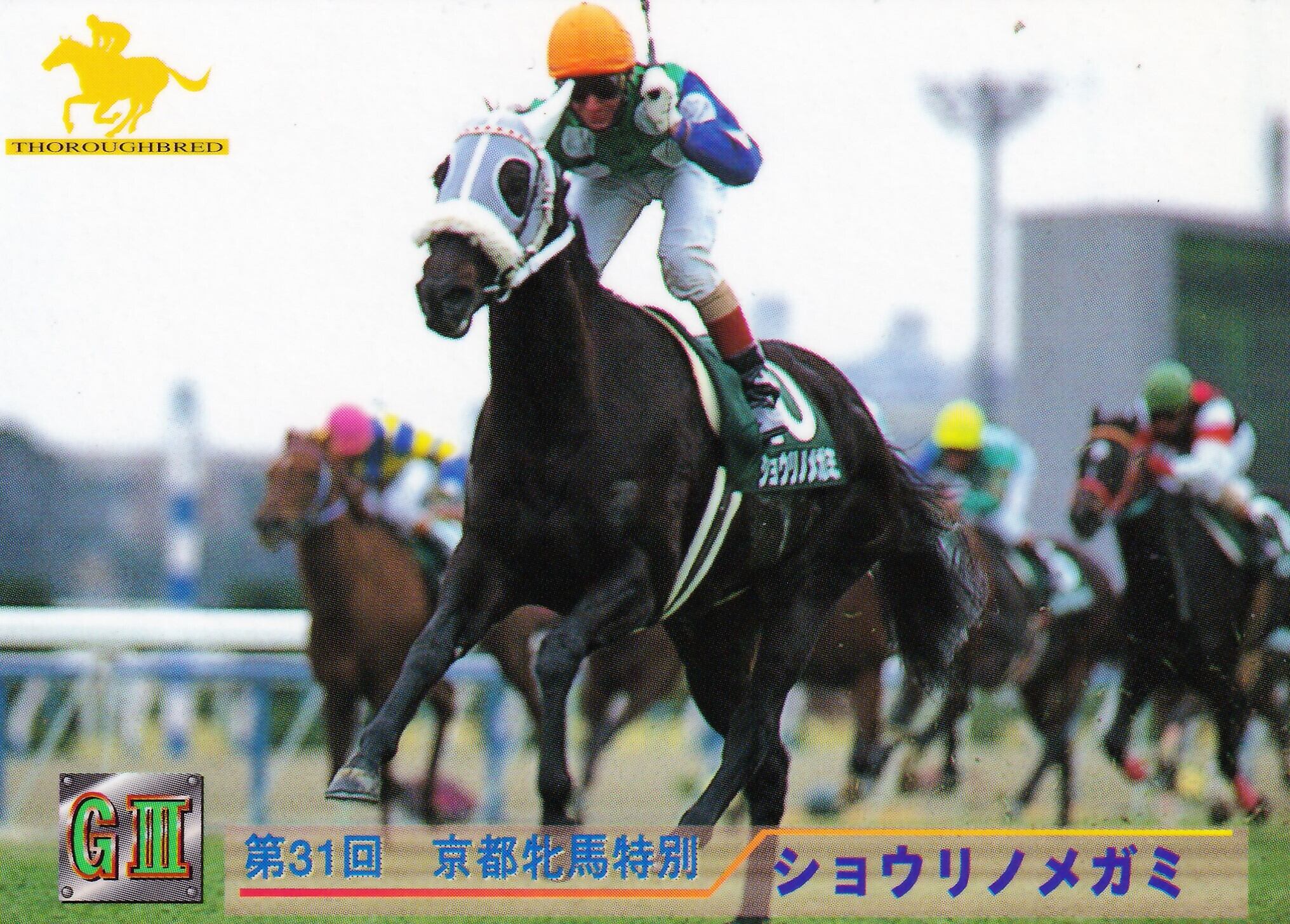 アグネスフライト：第67回 東京優駿(日本ダービー)出走馬