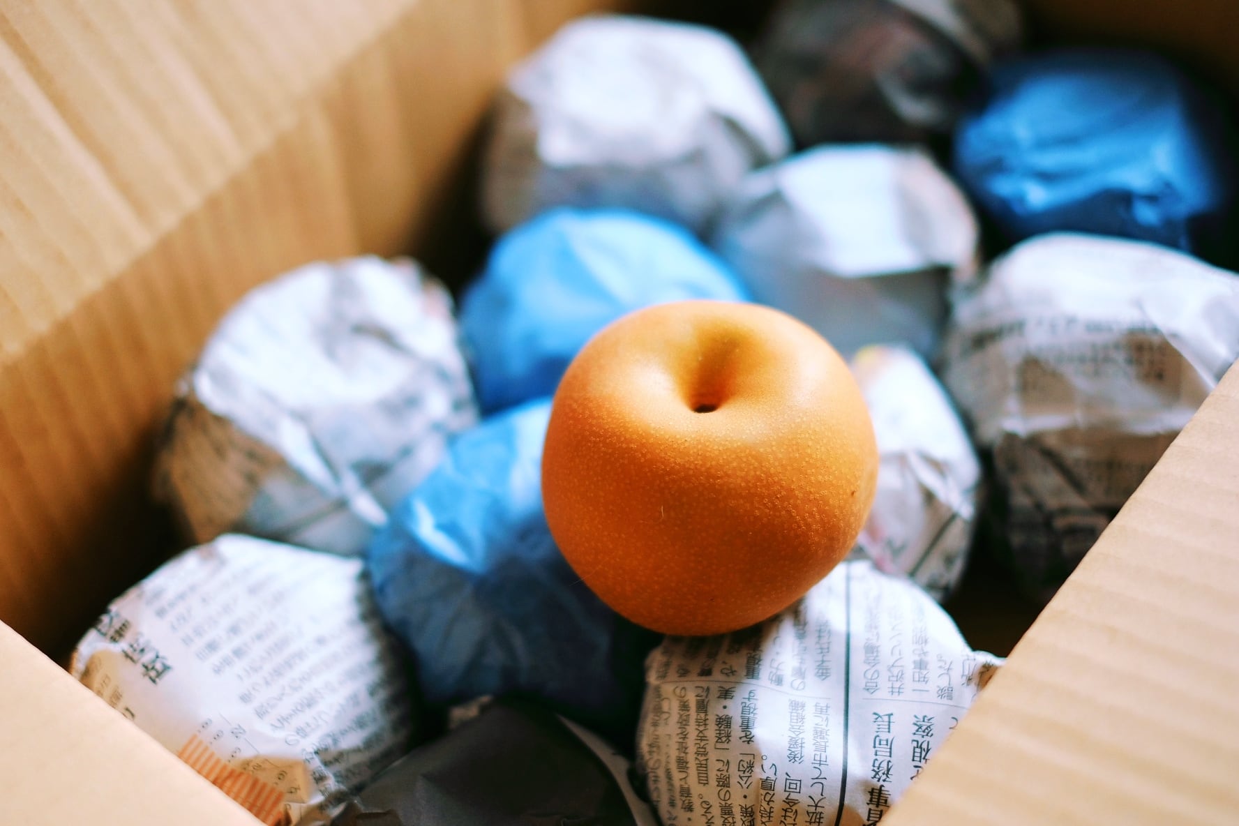 SUN南水 4.8〜5kg 信州産 南水梨 【贈答用】ミニドライフラワー付き 10