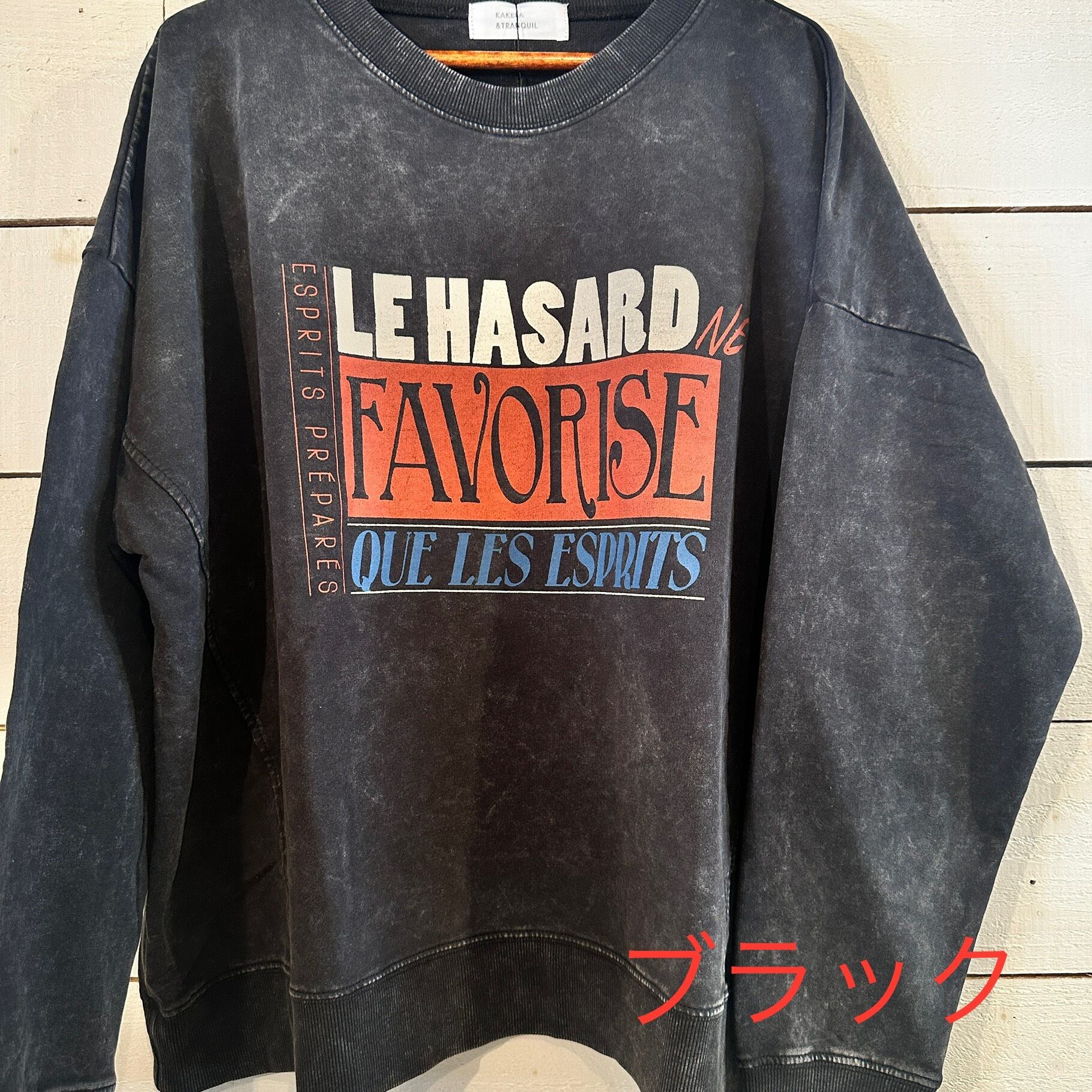 ミニ裏毛ピグメントプリントワイドクルー　328　フリーサイズ　ワイドスウェット　