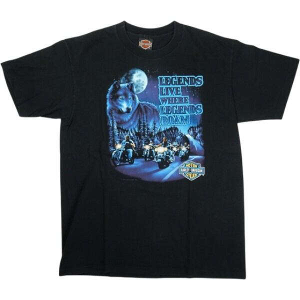 Size【L】 VINTAGE ヴィンテージ Harley-Davidson ハーレー