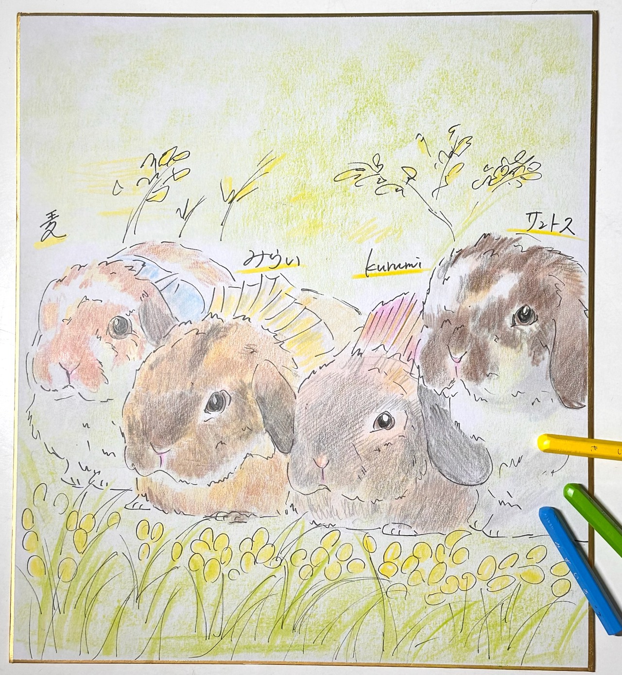 うさぎの似顔絵 | 陶芸うさぎショップmimipyon うさぎの似顔絵 | 陶芸うさぎショップmimipyon