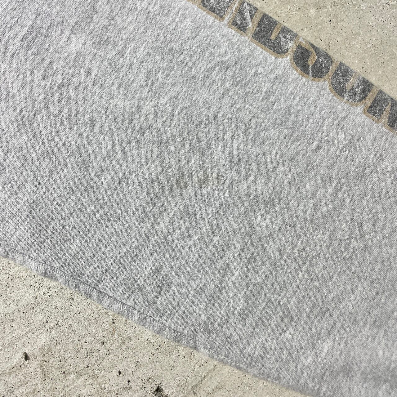 USA製 Harley-Davidson Looney Tunes ルーニー・テューンズ タスマニア