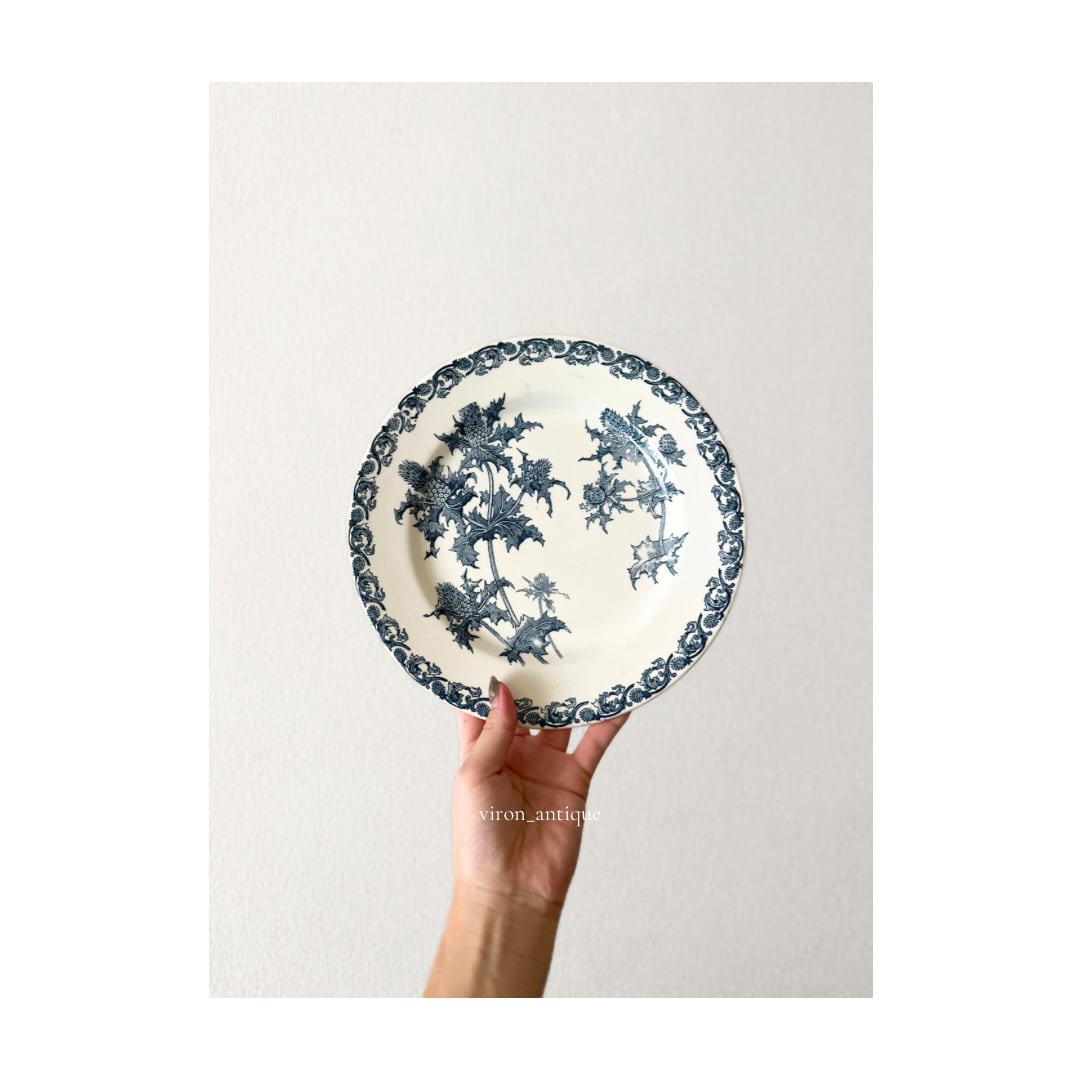 Clairefontaine クレールフォンテーヌ / “RIGHI” アザミの平皿プレート c