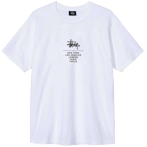 ステューシー Tシャツ STUSSY CITY STACK TEE WHITE [並行輸入]