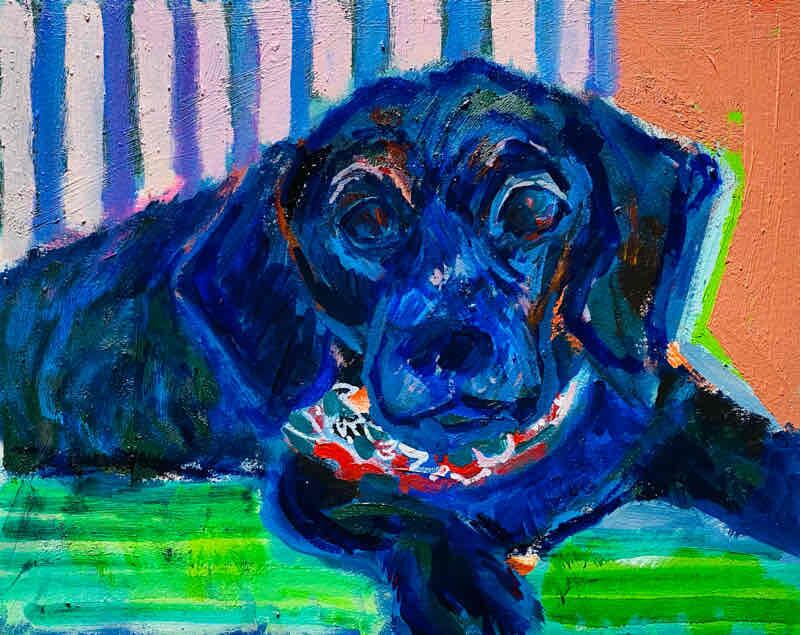 OIL COLOUR | 油彩画 #現代アート #犬 #猫