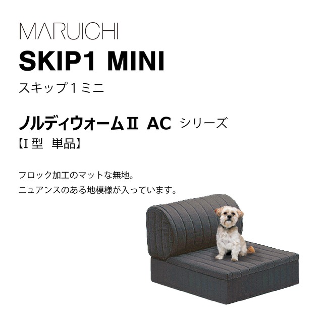 SKIP1 MINI（ノルディウォームⅡAC）I型単体