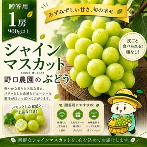 ⬛︎贈答用 シャインマスカット特撰1房（900ｇ以上1房入）☆