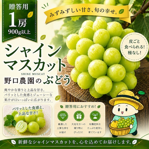 ⬛︎贈答用 シャインマスカット特撰1房(900g以上1房入)☆