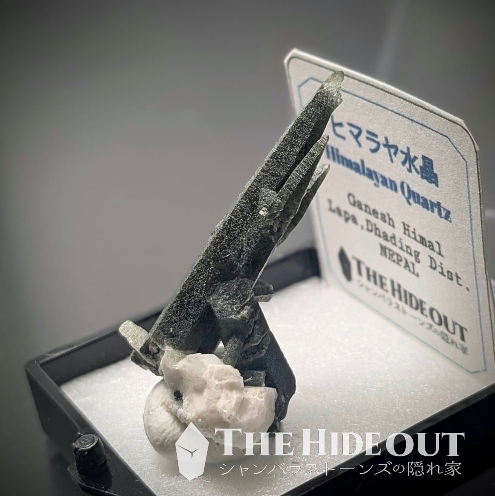 ヒマラヤ水晶オールドストック原石標本031 オクラっぽさ100%なクロー