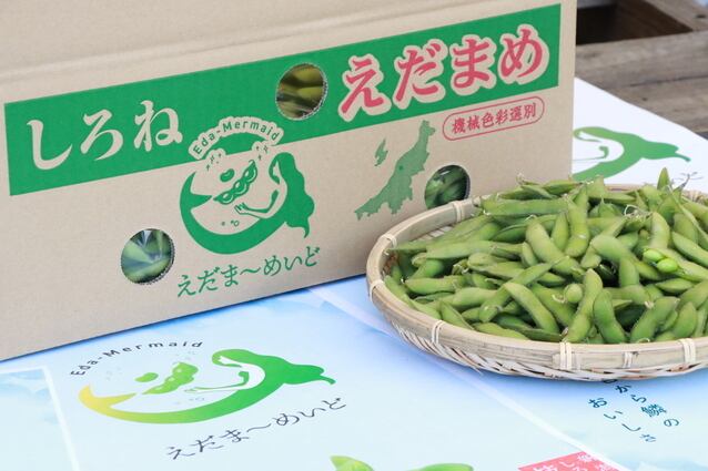 南区まるごとオーナー制度【返礼型】しろね えだま〜めいど 内容量2.5