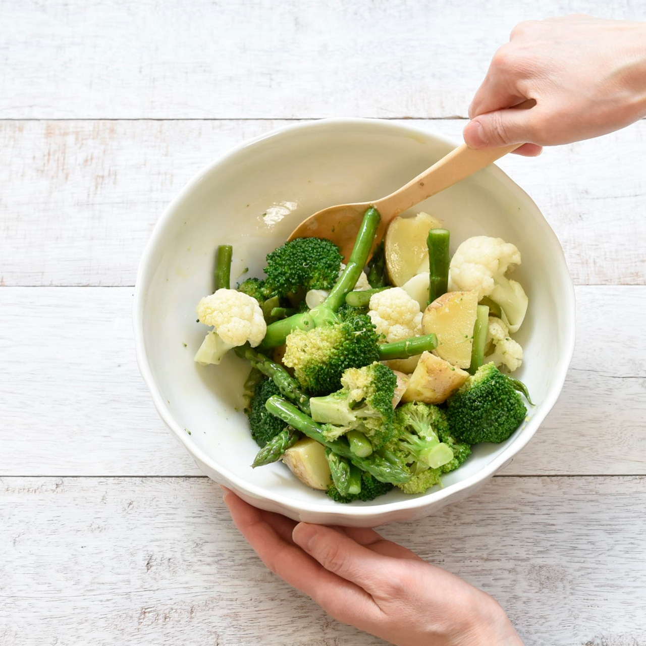 サタルニア リブボウル 23