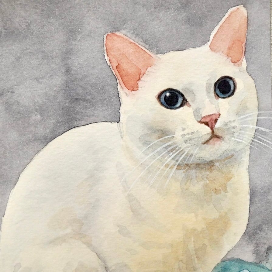 猫の絵 439 水彩画 原画 白猫 | Forest cat