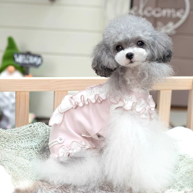 リボンフリル付パステルカラーのロンパース　犬服　00456