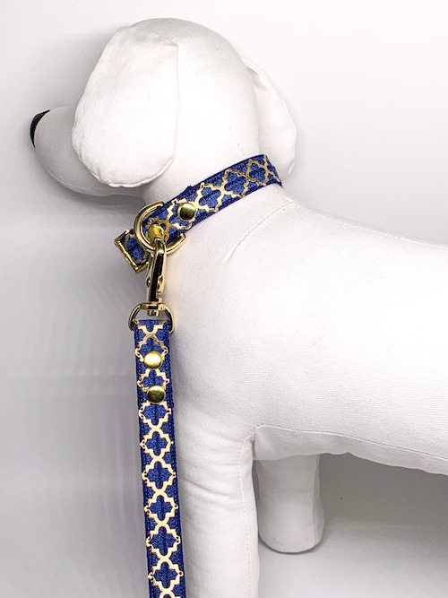 Collar&Leash(Gabriela)