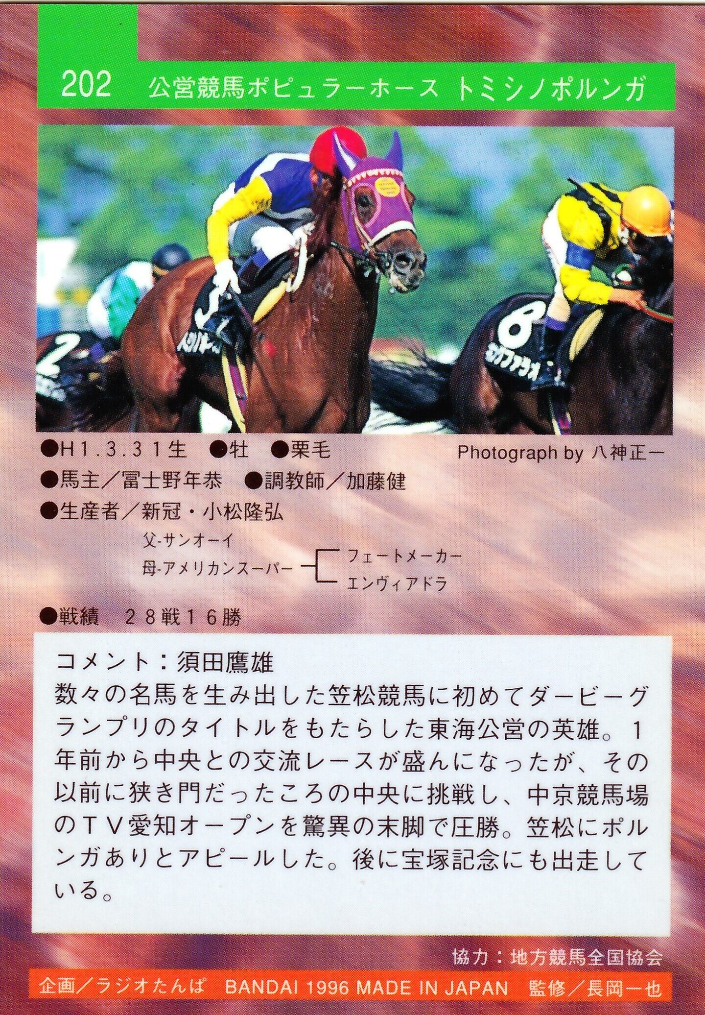 ☆ サラブレッドカード 96 上半期 メジロイーグル「サラブレッドカード