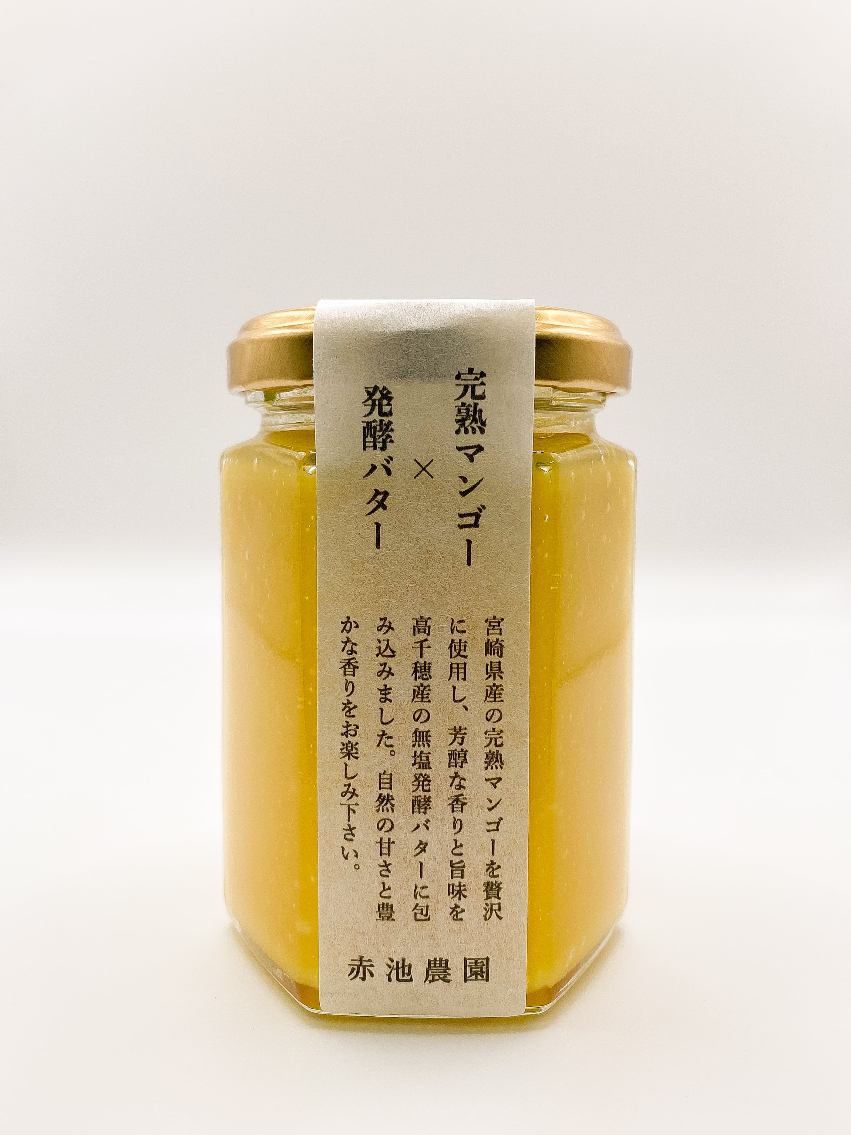 宮崎県産 完熟ドライマンゴー 50g 無添加・無加糖 | AKAIKE FARM