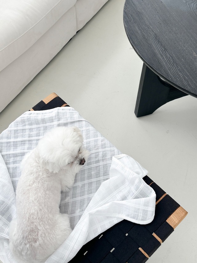 〈即納アイテム〉EYOU/ チェックブランケット（ホワイト）