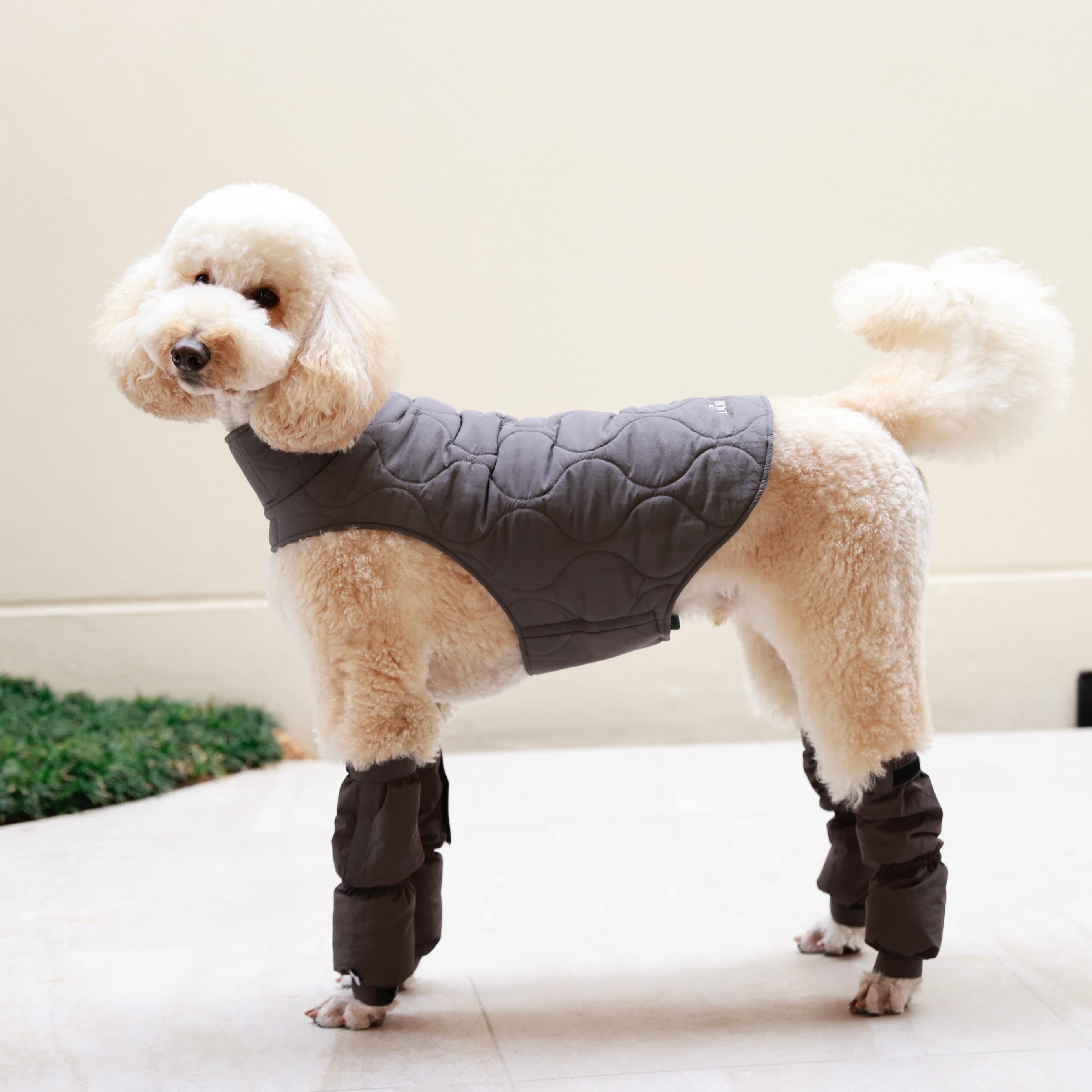 フットカバー4本 Lサイズ