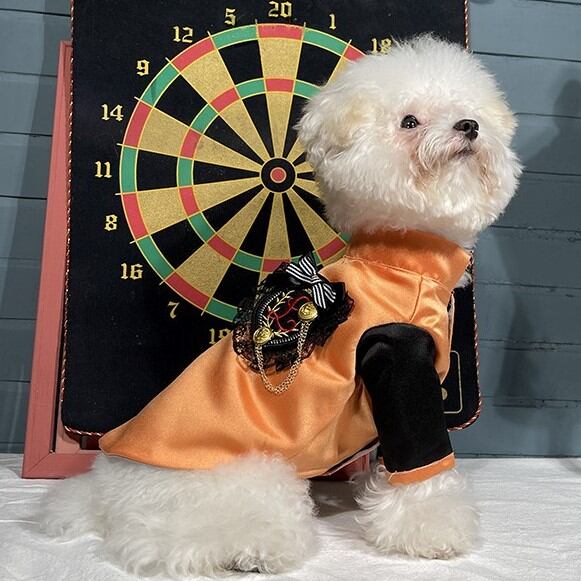 大型犬もOK かぼちゃ色のハロウィンスーツorワンピース