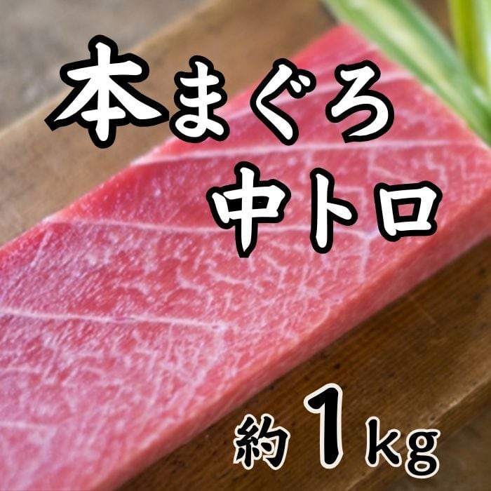 ☆本マグロ 中トロ 約1kg （大きさ・形不揃い柵） | 浦安舞浜商店