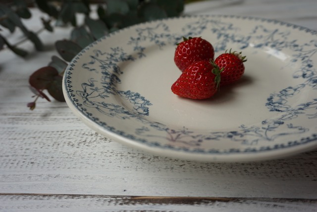 Sarreguenines ガトープレートMOZART