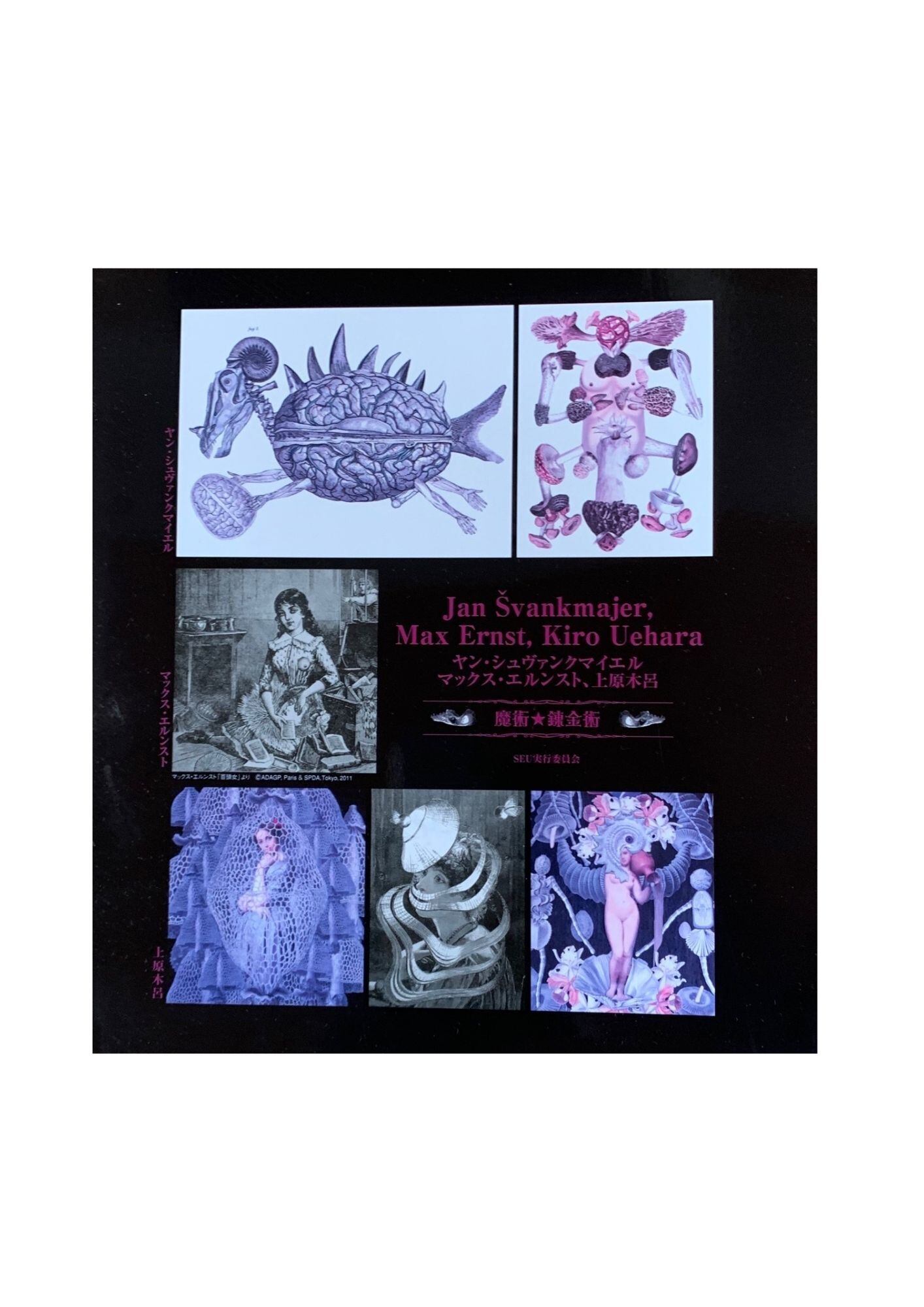 ヤン・シュヴァンクマイエル マックス・エルンスト 上原木呂 魔術