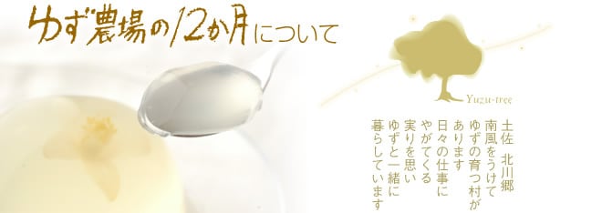 池田柚華園の「ゆずの贅沢ドレッシング200ml」 | なはりの郷マルシェ