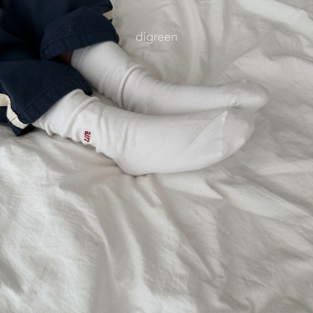 〘予約〙digreen / socks_heart