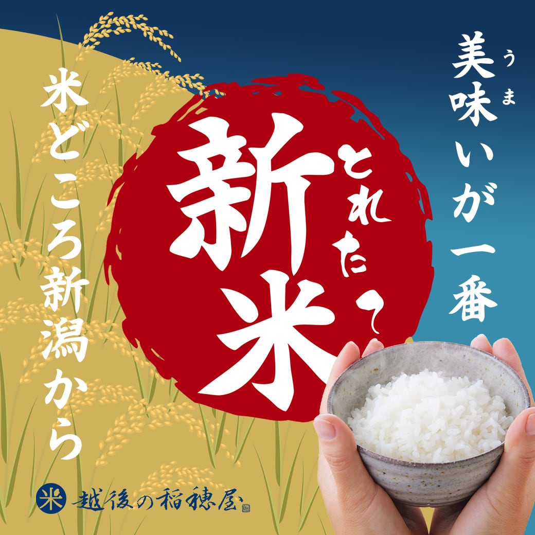 北海道産 ゆめぴりか 10kg 新米 令和7年産 | 越後の稲穂屋