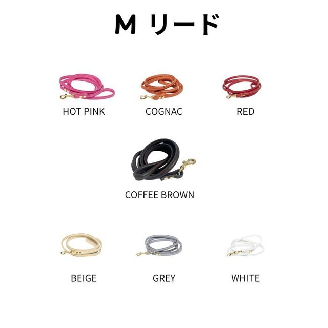 【COLLAR OF SWEDEN】LEAD （M）