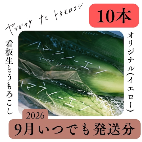 【9月いつでも発送】看板生とうもろこし10本
