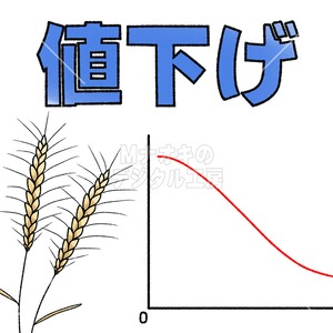小麦の値下げ　wheat price cut