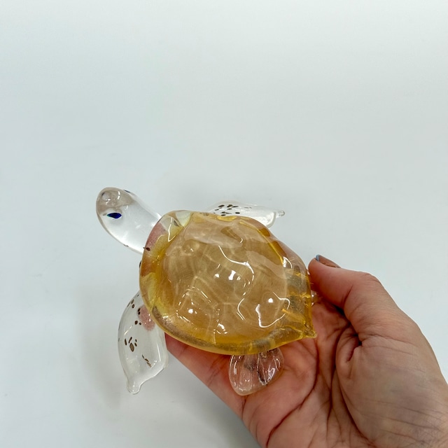 岩沢 達 ウミガメ 1