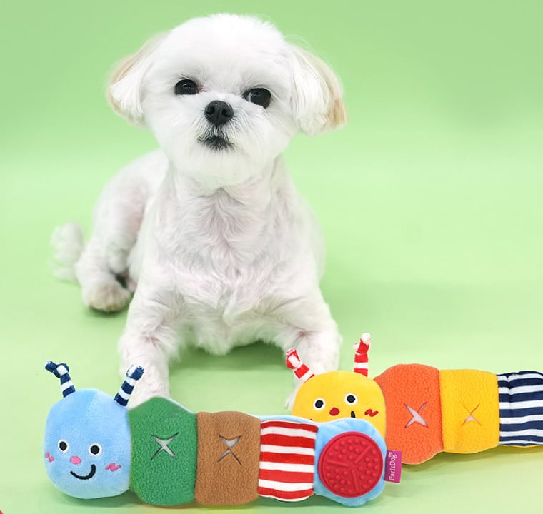 larva snack toy / ペット 犬 おもちゃ カシャカシャ 音が鳴る 知育玩具 ノーズワーク おやつ隠し 可愛い わんちゃん おもちゃ ストレス解消 toy15