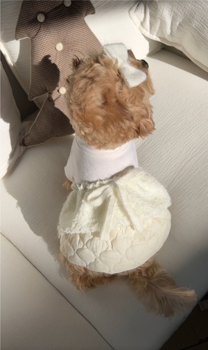 即納【SICGGU】スノードレス