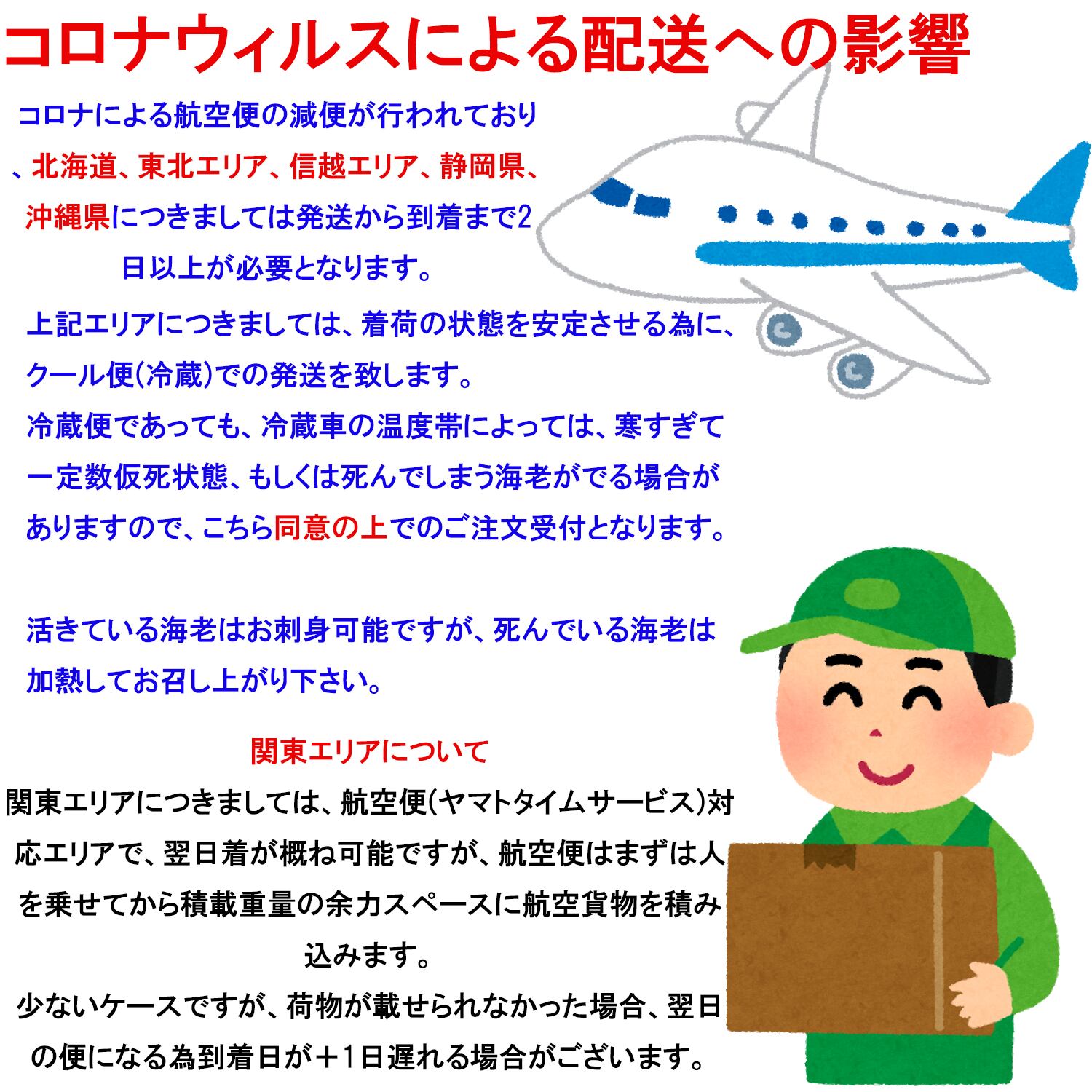 活き 車海老 1kg 33 45尾 熊本県産 産地直送 活きたままお届けで鮮度抜群 御歳暮 贈り物 活き 車エビ クルマエビ 車えび 刺し身 車海老の通販 くるまえびや海老吉 Web直営店 吉本水産