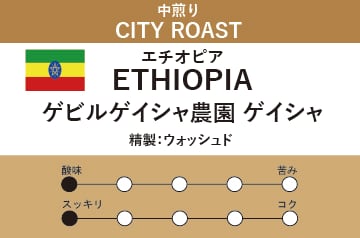 【エチオピア】ケビルゲイシャ農園 ゲイシャ (中煎り)